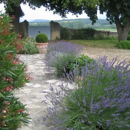 Jardin Avec Vue, Grande Piscine Et Mas Divise *